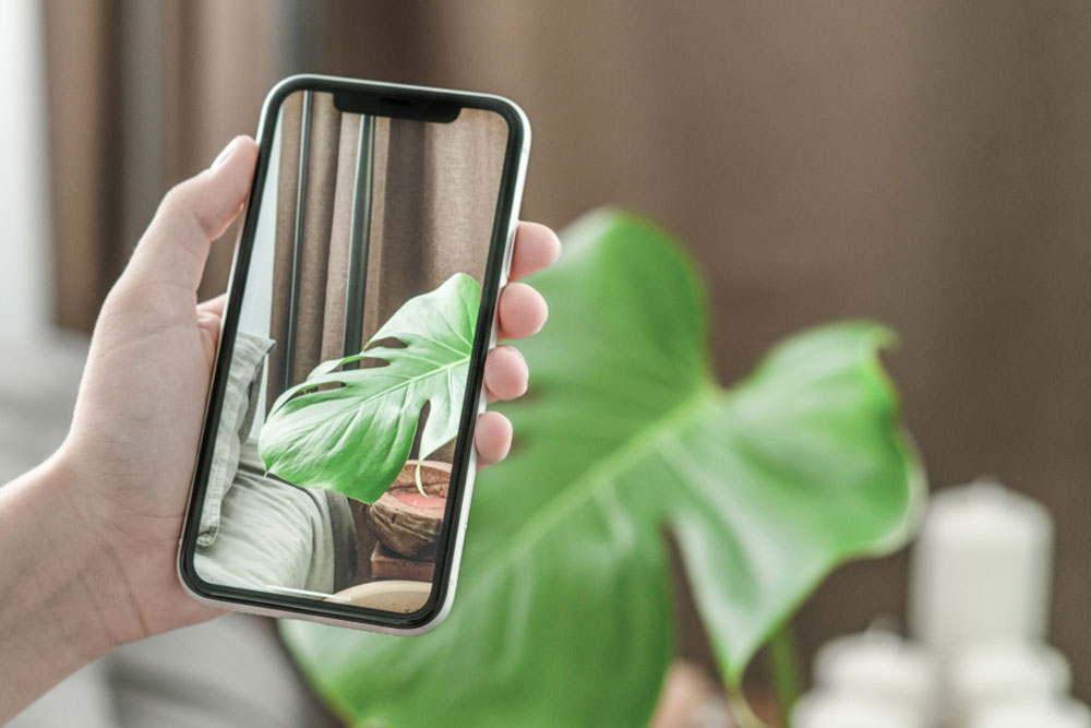 Here’s what you need to know about the latest iPhones