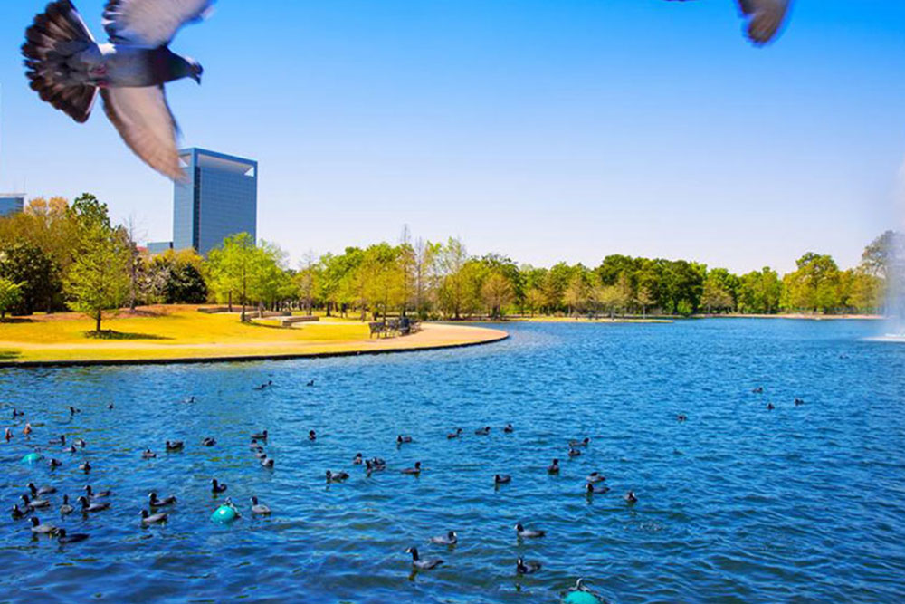 Here’s what you will find in the Texas waters during summer and spring