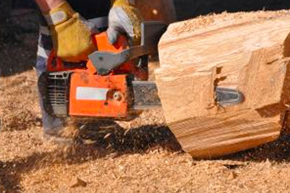 Tree removal services – benefits, costs and more